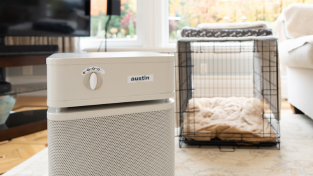best-air-purifier-for-allergies