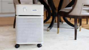 best-air-purifier-for-your-home
